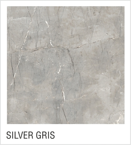 Silver Gris