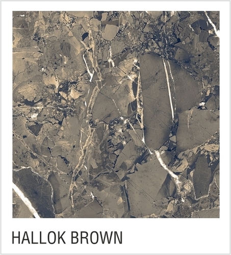 Hallok Brown
