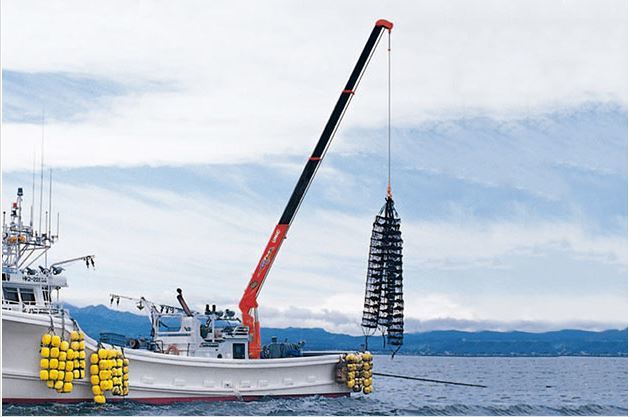 Marine Crane UBV340J/340 SERIES