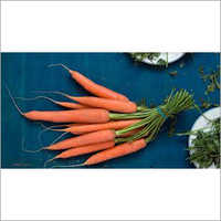 Fresh Carrots