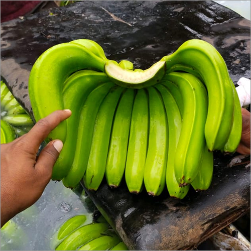 Fresh Green Banana By EXPODUS ENTERPRISE (OPC) PRIVATE LIMITED