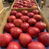 Fresh Natural Apple