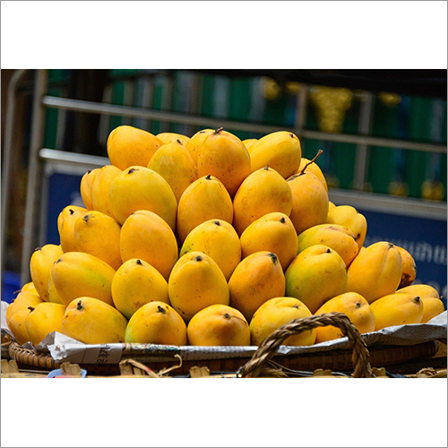 Fresh Yellow Mango By EXPODUS ENTERPRISE (OPC) PRIVATE LIMITED