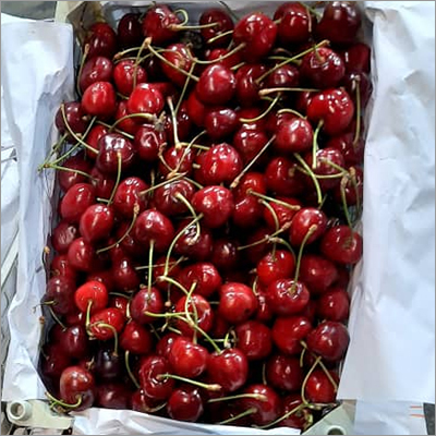 Fresh Natural Cherry