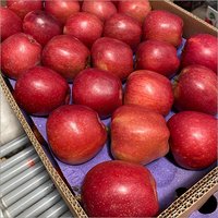 Fresh Natural Red Apple