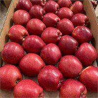 Fresh Natural Red Apple