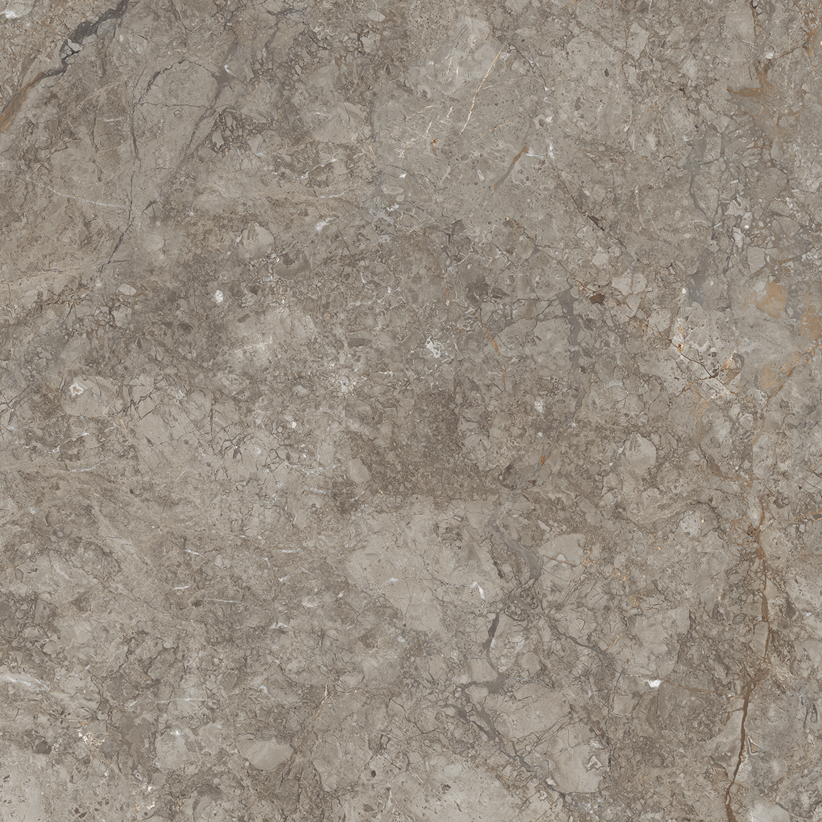 Antresit Grey 1200x1200mm Porcelain Tiles