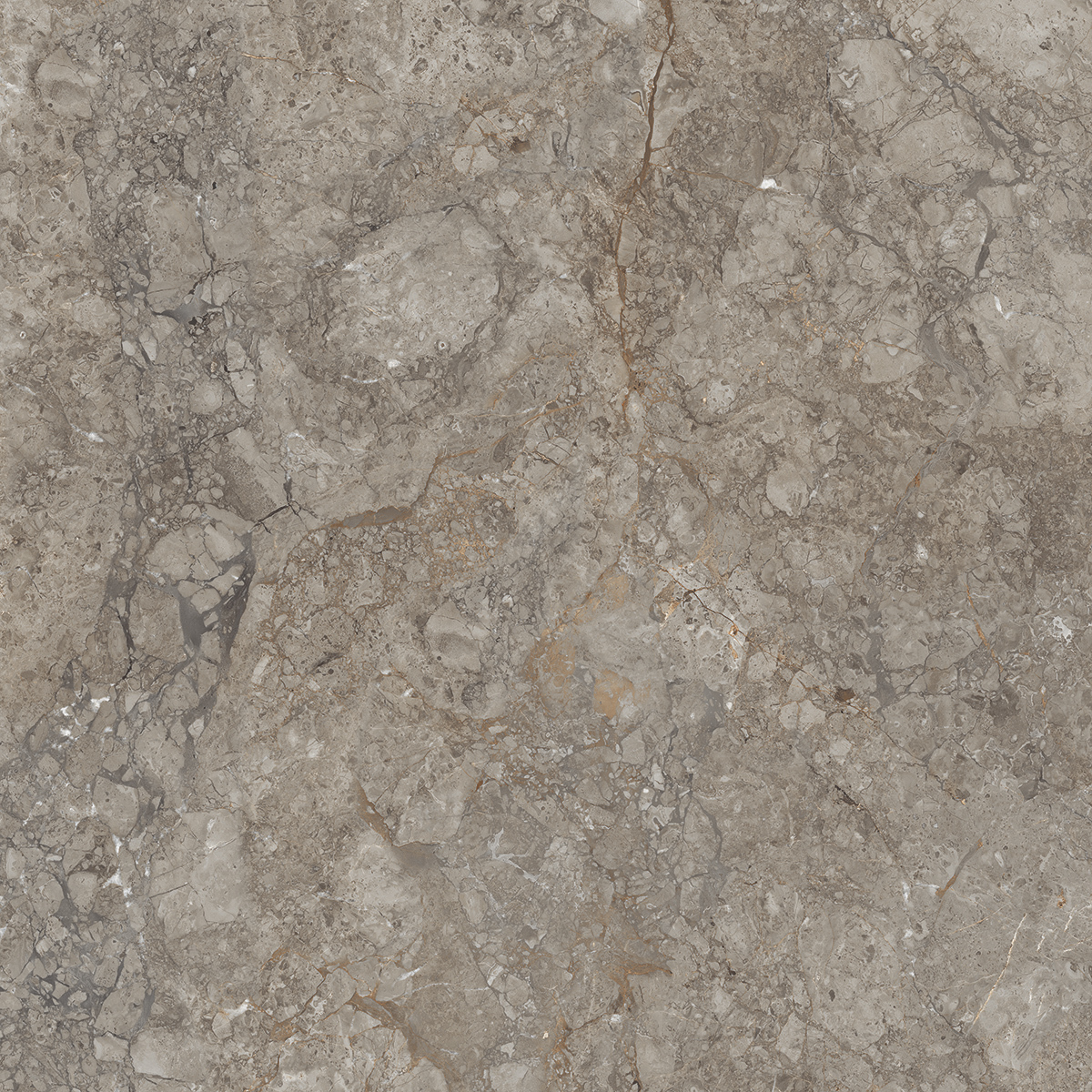 Antresit Grey 1200x1200mm Porcelain Tiles