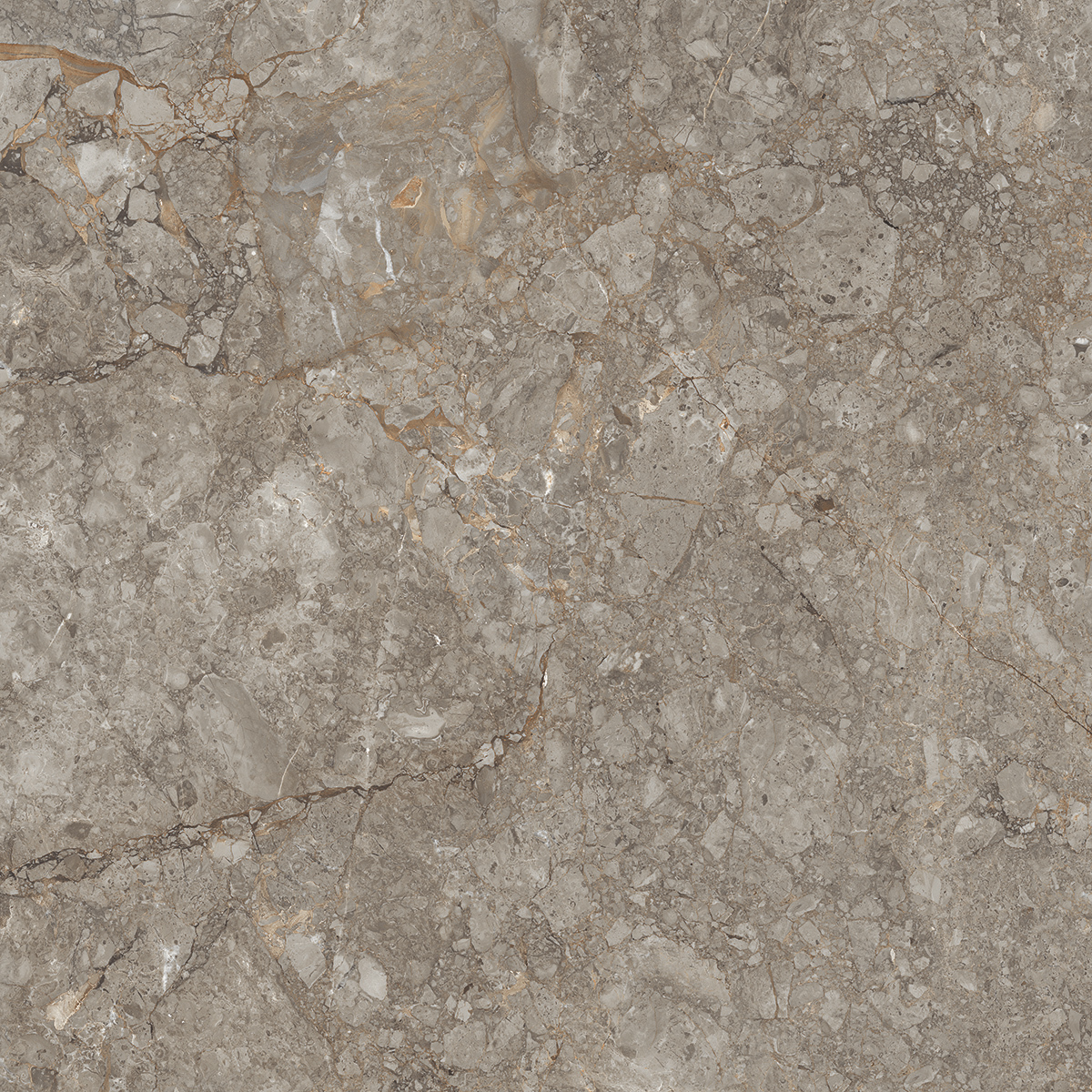 Antresit Grey 1200x1200mm Porcelain Tiles
