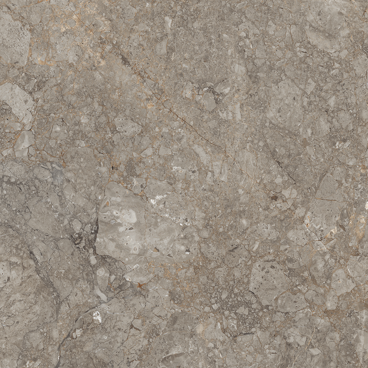 Antresit Grey 1200x1200mm Porcelain Tiles