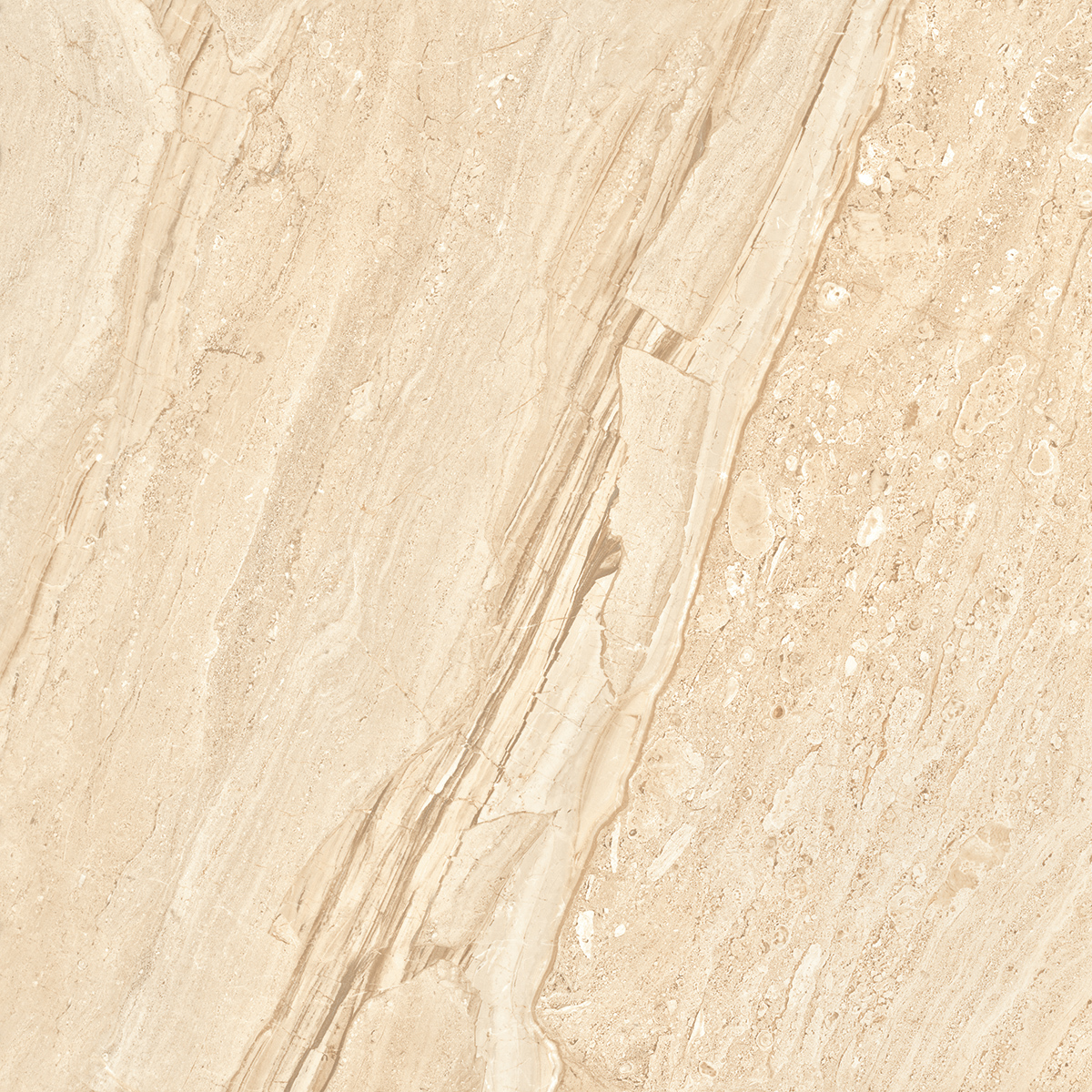 Dyna Natural 1200x1200mm Porcelain Tiles