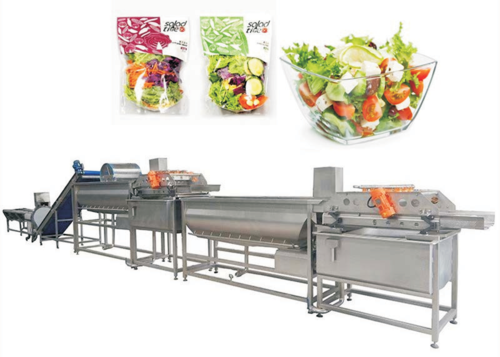 Automatic Vegetable Fruit Salad Cutting Washing Drying Production Line
