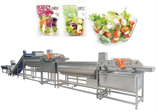 Leaf Salad Vegetable Washing Processing Line
