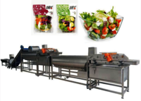 Leaf Salad Vegetable Washing Processing Line Customized