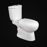 White Aqua Two Piece Water Closet By Massive Ceramic