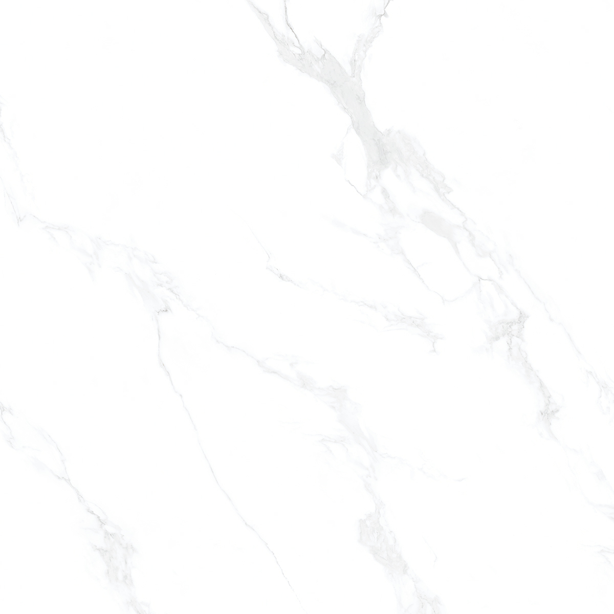 Marble Carara 1200x1200mm Porcelain Tiles