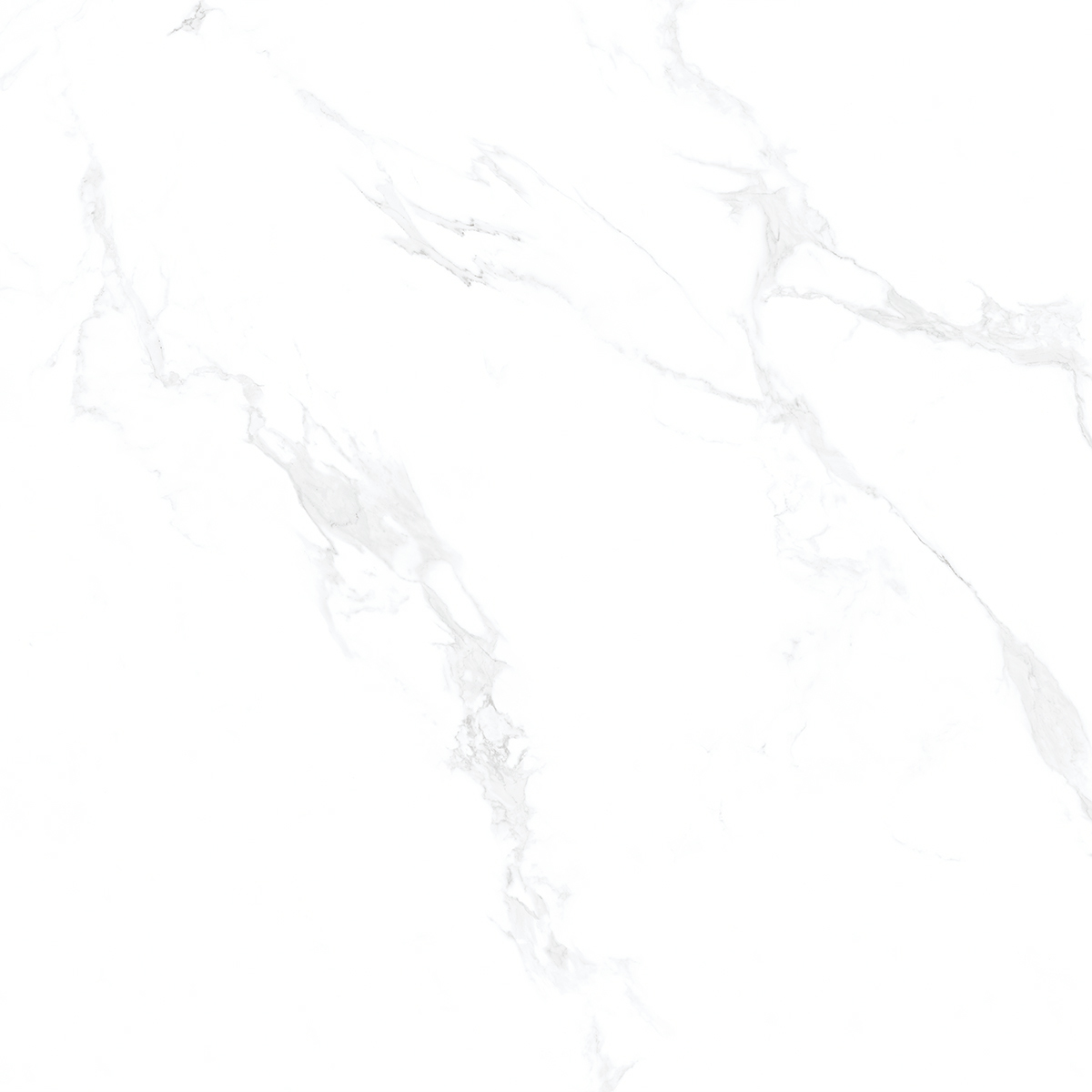 Marble Carara 1200x1200mm Porcelain Tiles