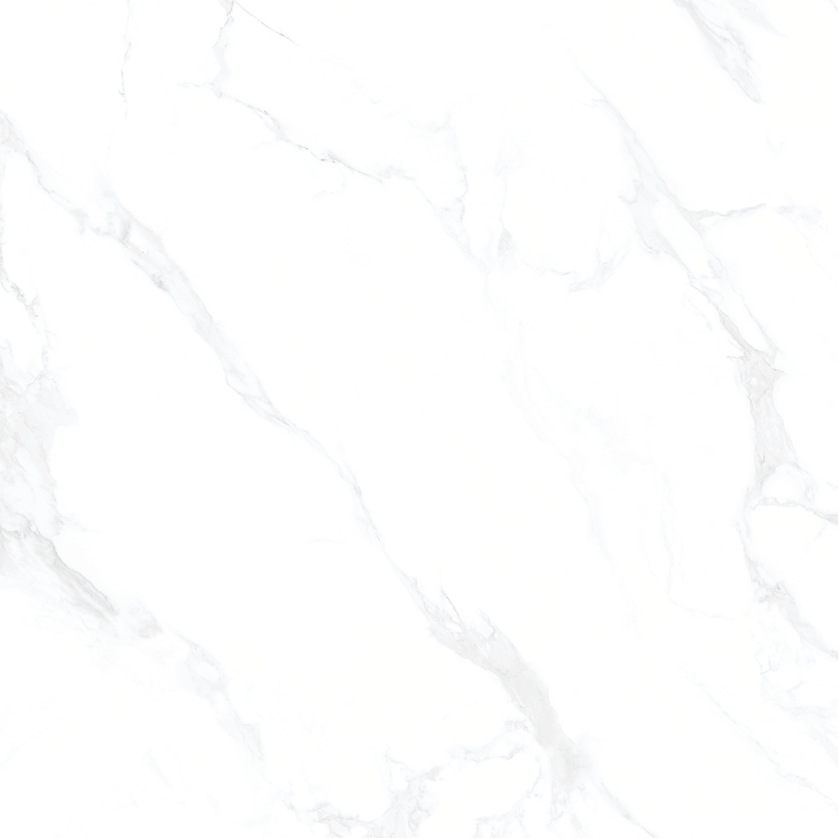 Marble Carara 1200x1200mm Porcelain Tiles
