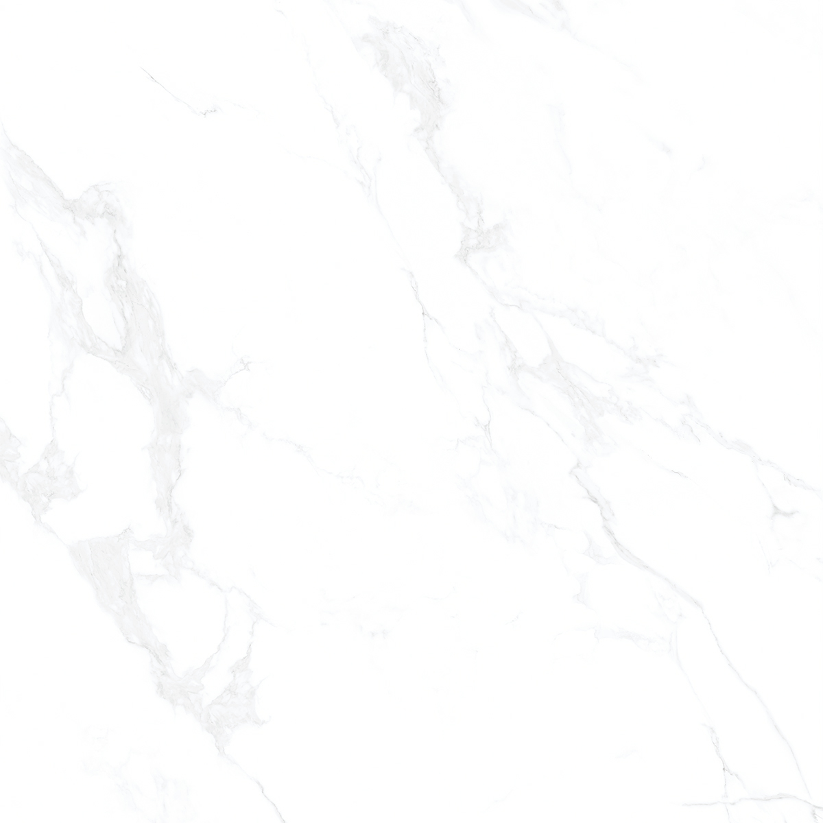 Marble Carara 1200x1200mm Porcelain Tiles
