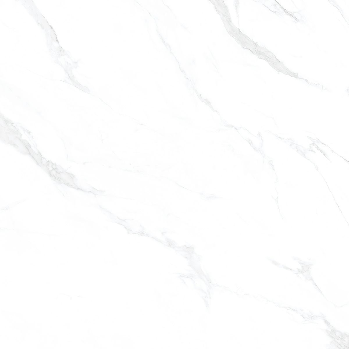 Marble Carara 1200x1200mm Porcelain Tiles