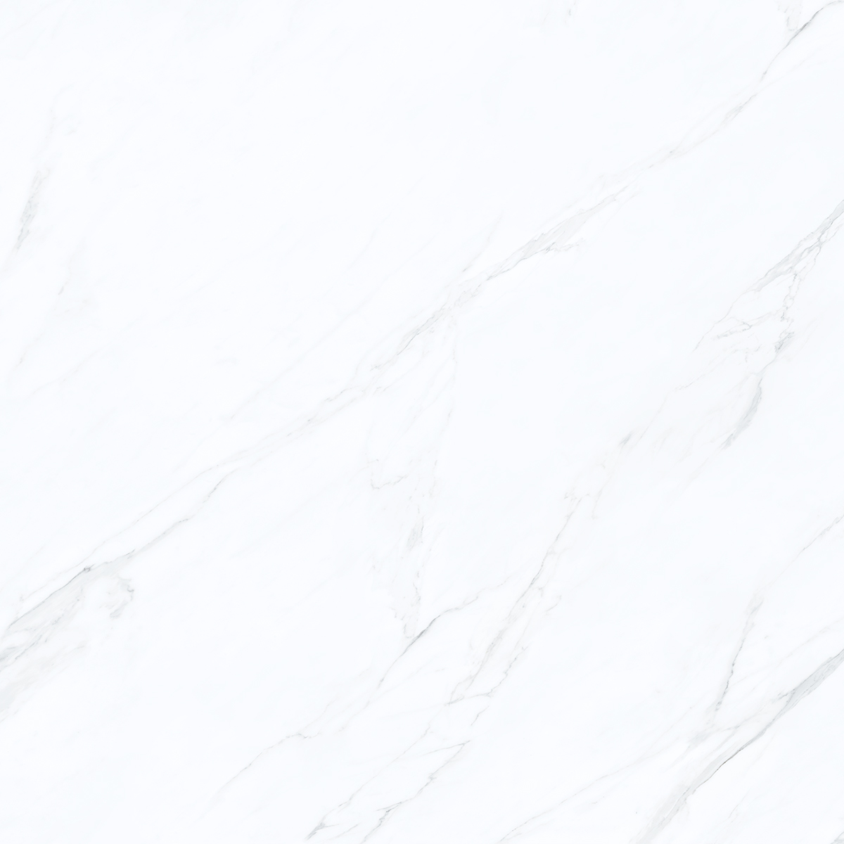 Marble Statuario 1200x1200mm Porcelain Tiles