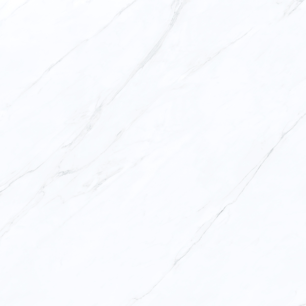 Marble Statuario 1200x1200mm Porcelain Tiles