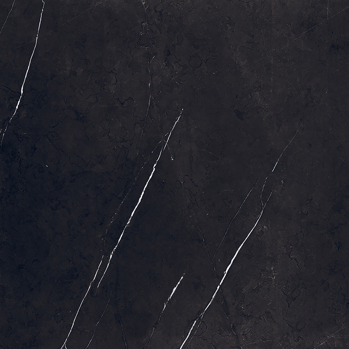Marquina black 1200x1200mm Porcelain Tiles