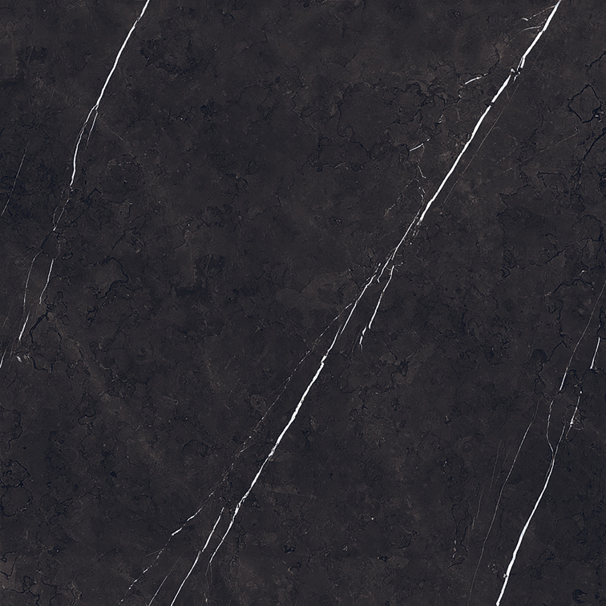 Marquina black 1200x1200mm Porcelain Tiles