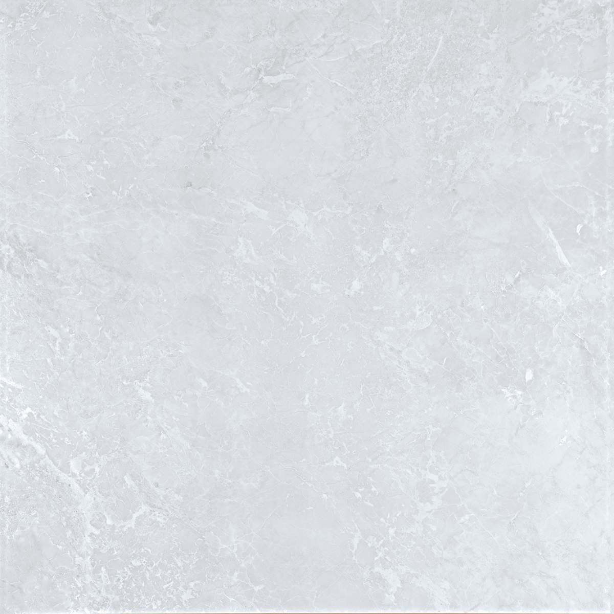 Novelle Ice 1200x1200mm Porcelain Tiles