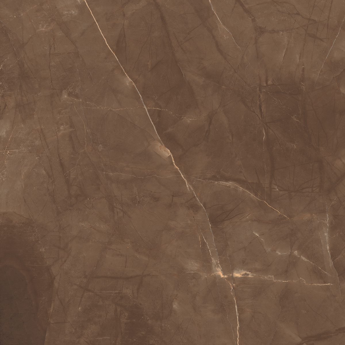 Orient Brown 1200x1200mm Porcelain Tiles