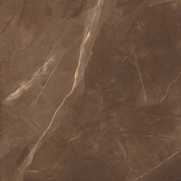 Orient Brown 1200x1200mm Porcelain Tiles