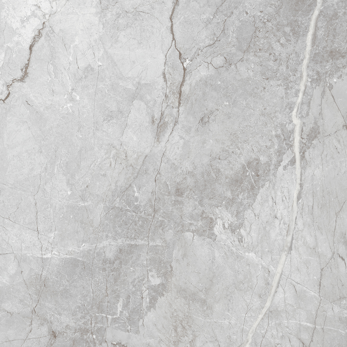 Orobico Grey 1200x1200mm Porcelain Tiles