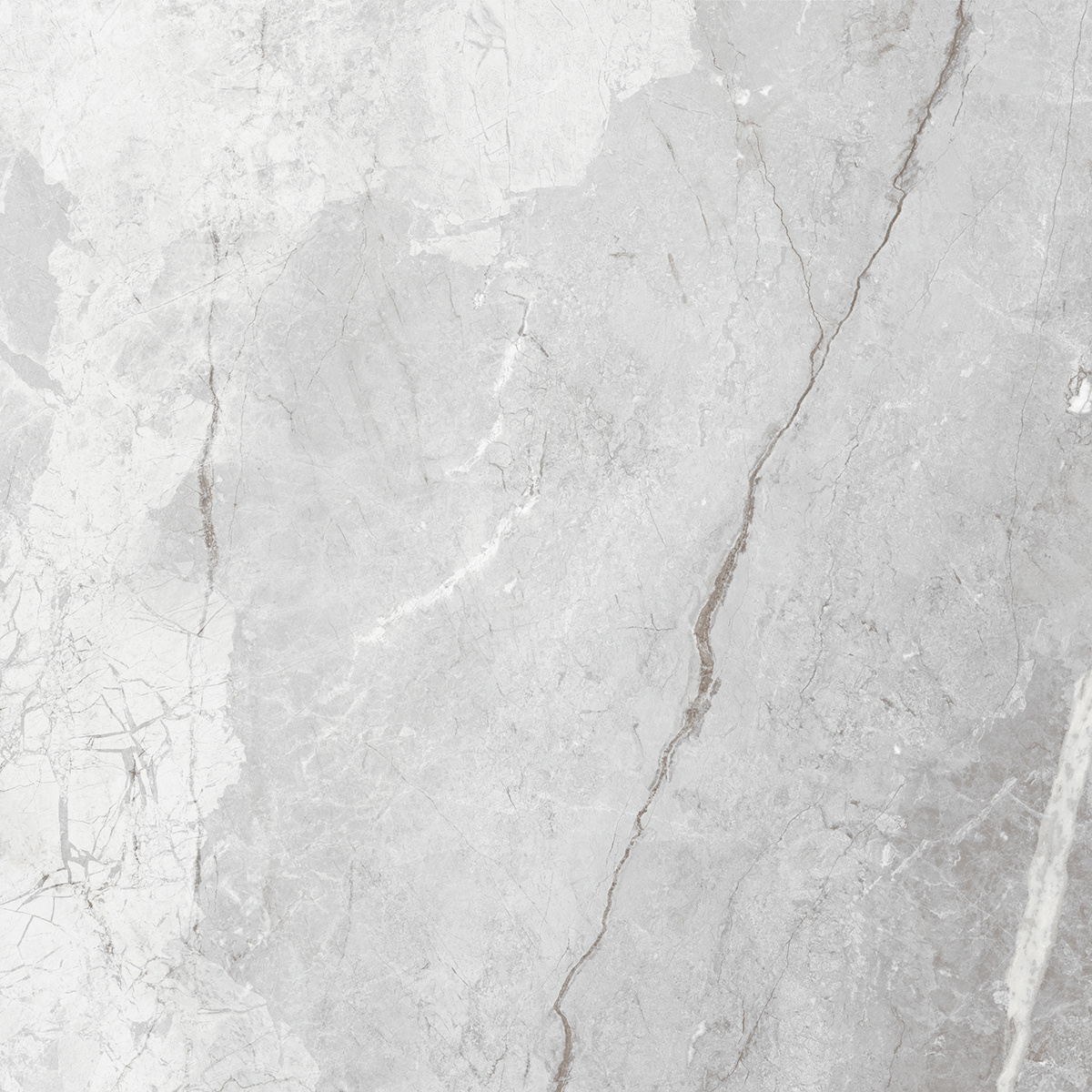Orobico Grey 1200x1200mm Porcelain Tiles