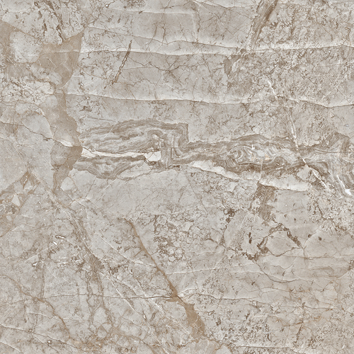 Silver Root 1200x1200mm Porcelain Tiles