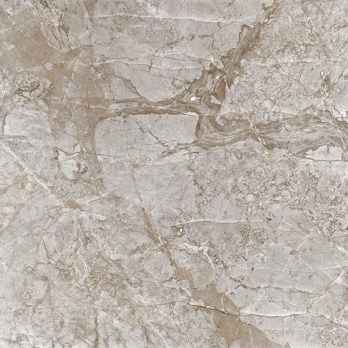 Silver Root 1200x1200mm Porcelain Tiles