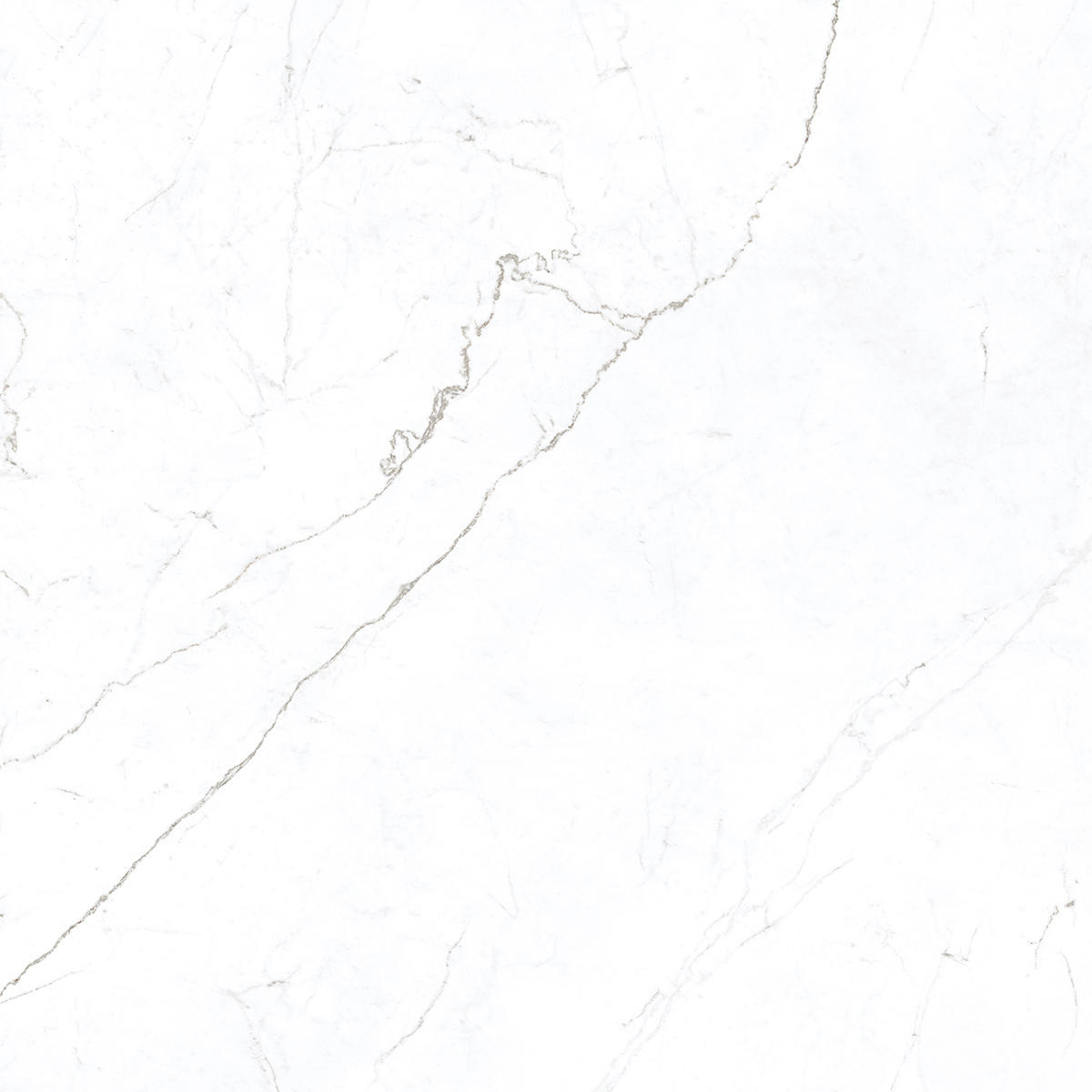 Statuario Ice 1200x1200mm Porcelain Tiles