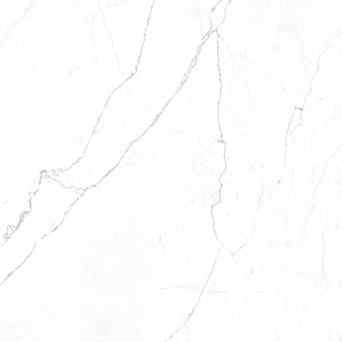 Statuario Ice 1200x1200mm Porcelain Tiles