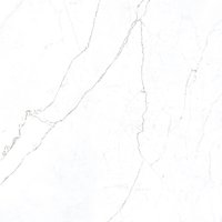 Statuario Ice 1200x1200mm Porcelain Tiles