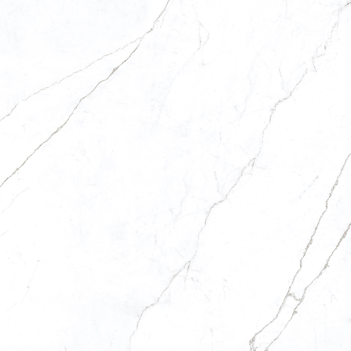 Statuario Ice 1200x1200mm Porcelain Tiles