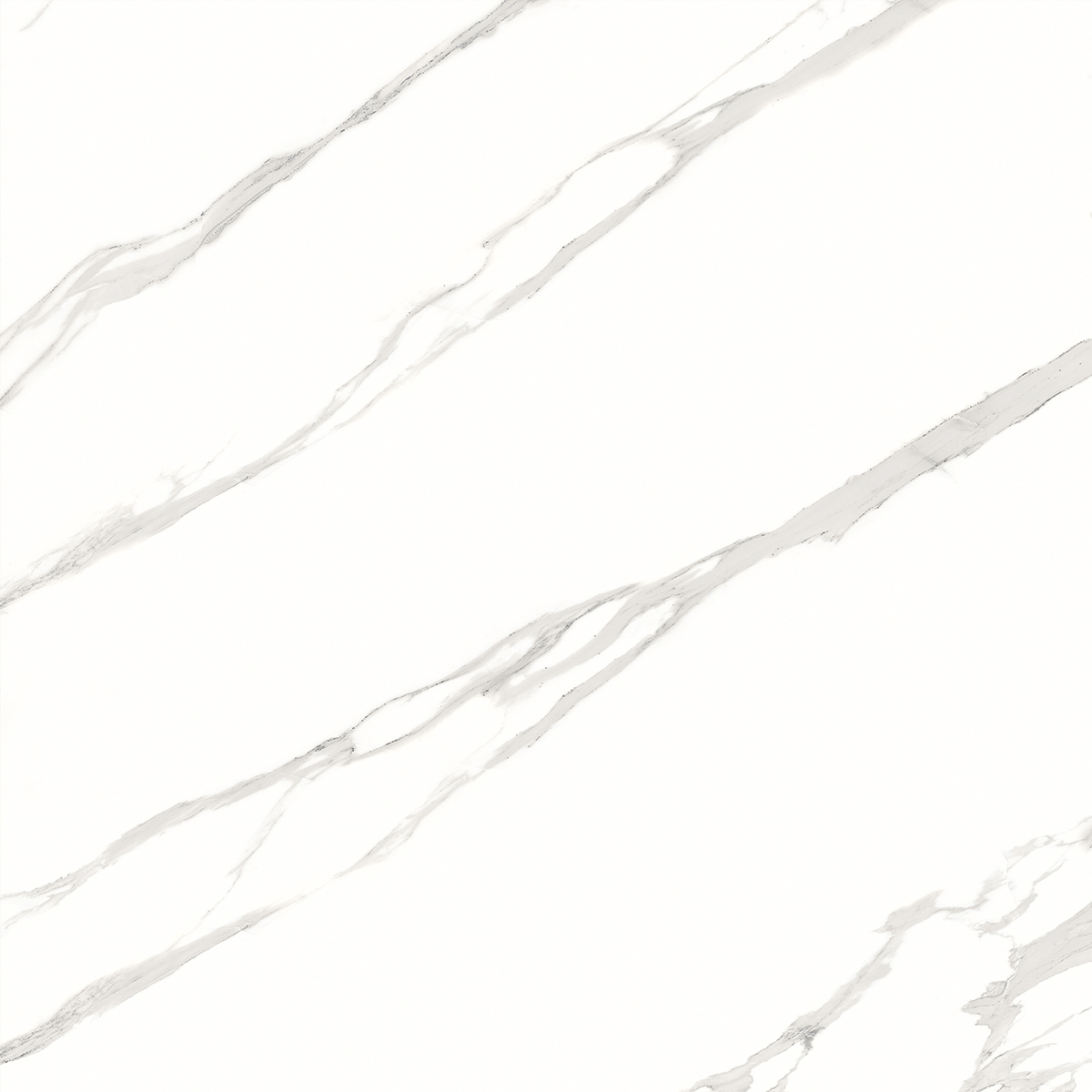 Statuario Italia 1200x1200mm Porcelain Tiles