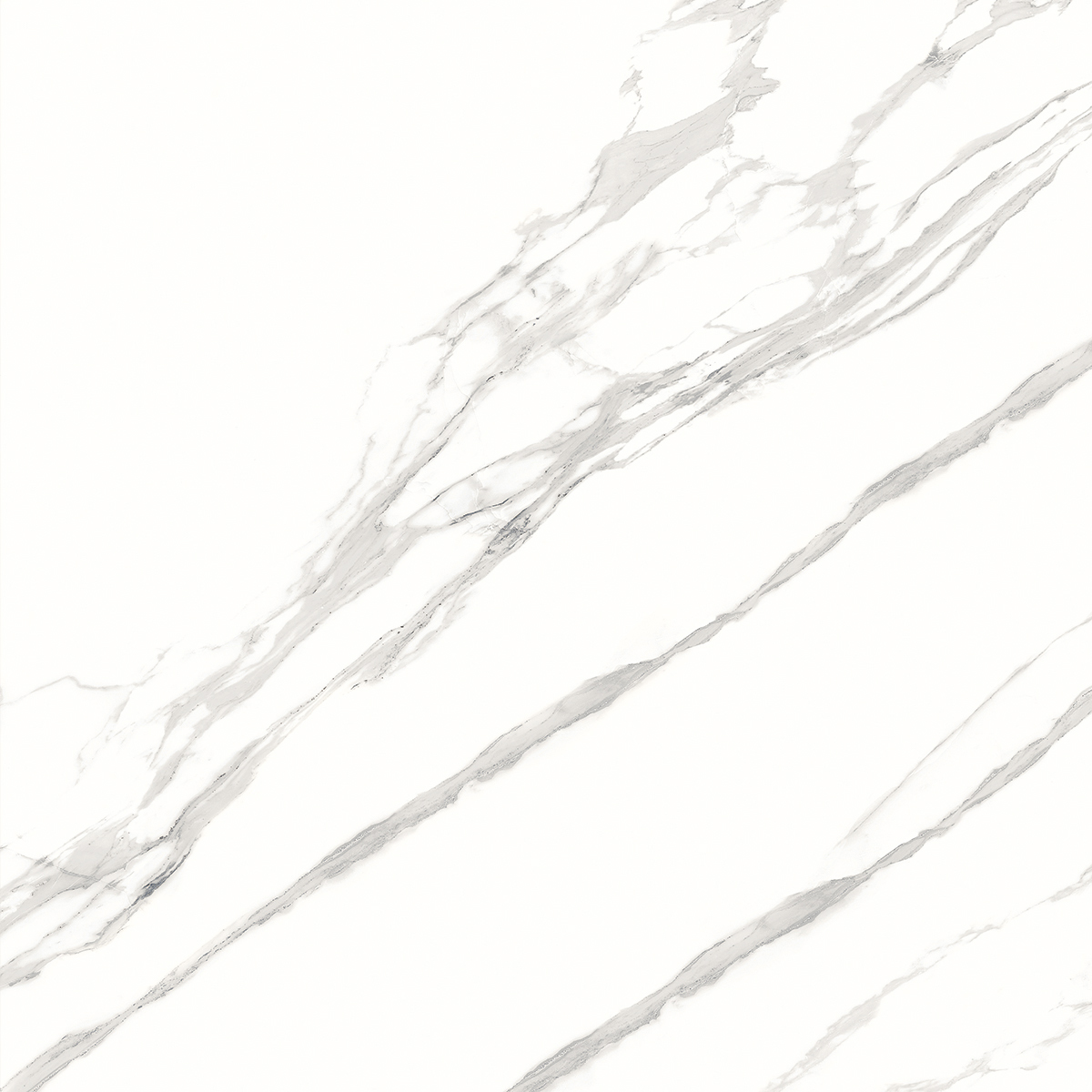 Statuario Italia 1200x1200mm Porcelain Tiles