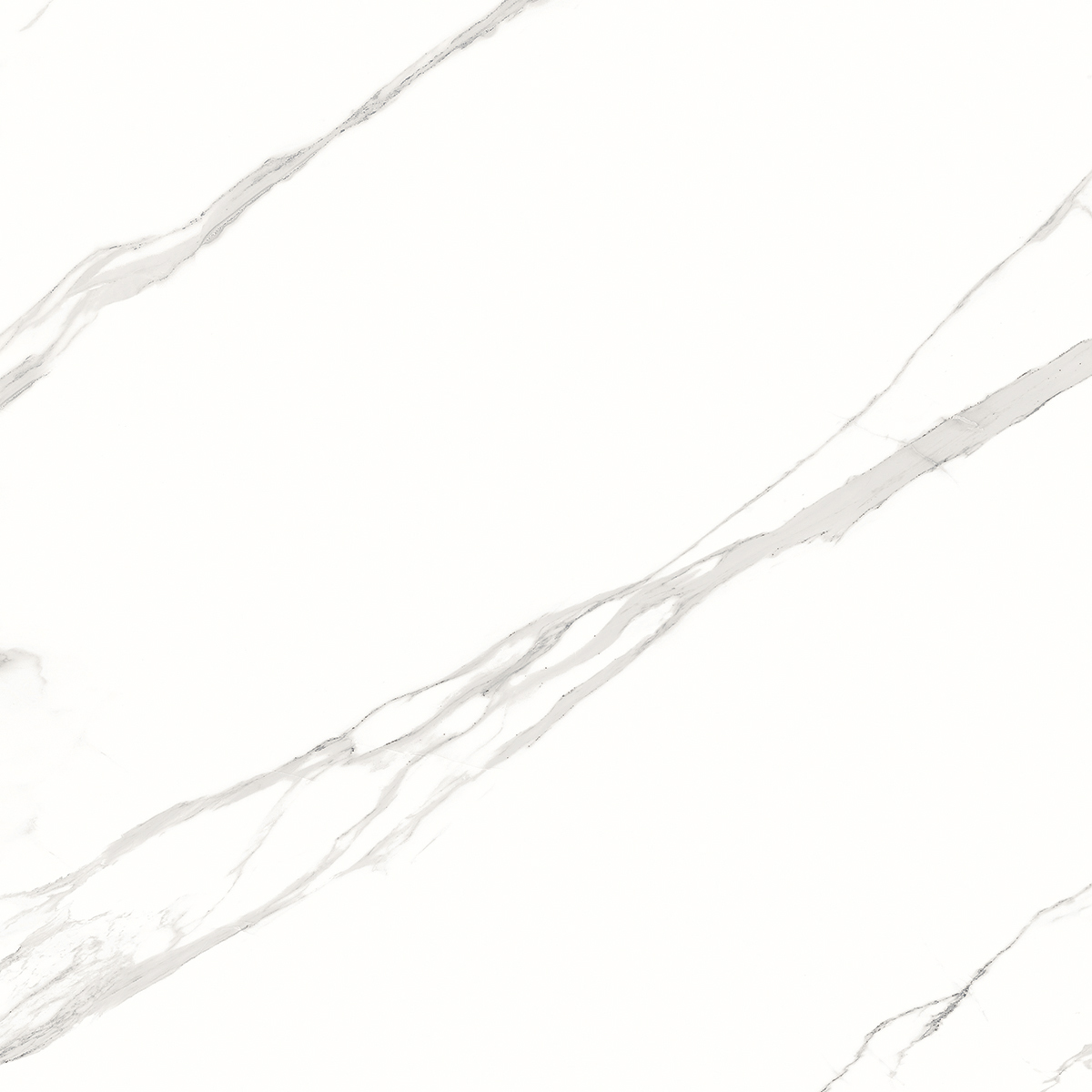 Statuario Italia 1200x1200mm Porcelain Tiles