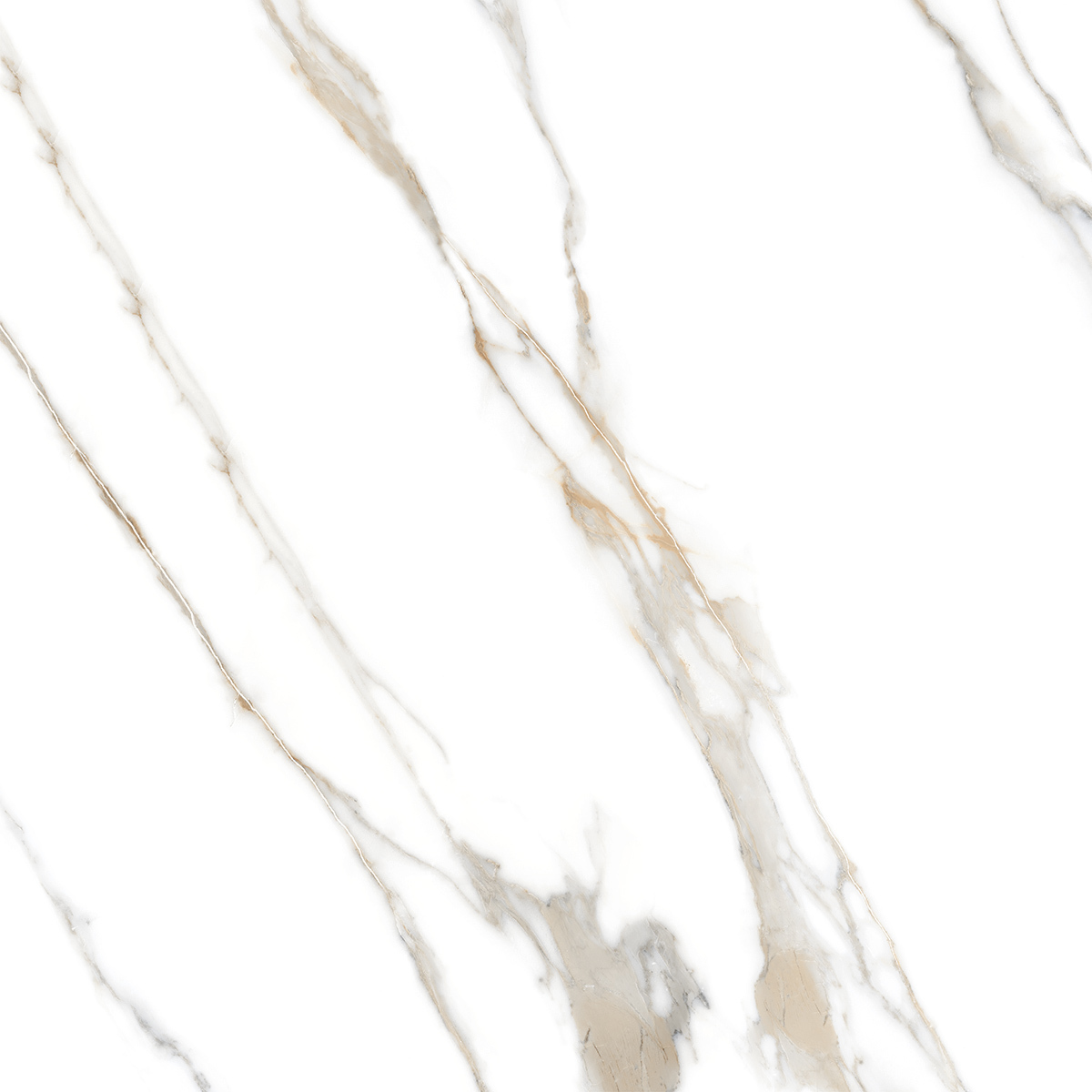 Statuario Lucidato 1200x1200mm Porcelain Tiles