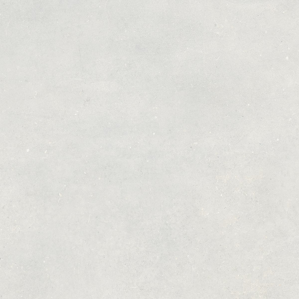 Fossil Grey 1200x1200mm Matt Porcelain Tiles