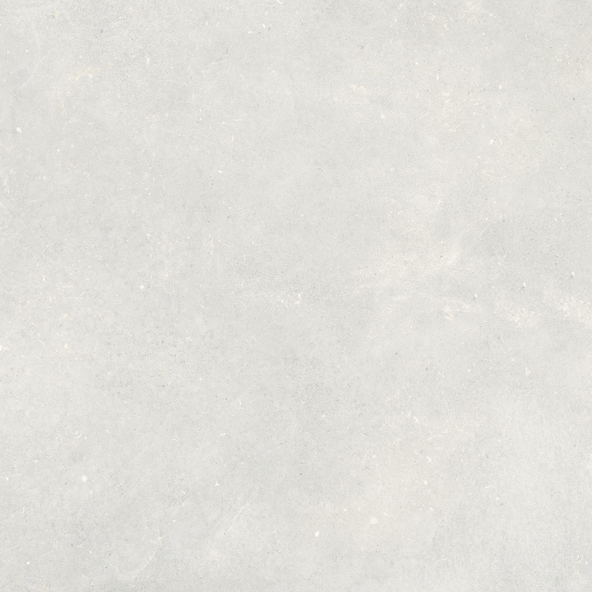 Fossil Grey 1200x1200mm Matt Porcelain Tiles