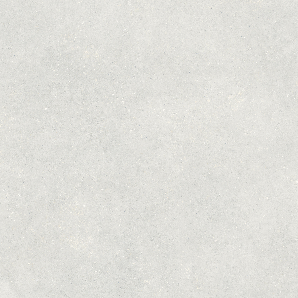 Fossil Grey 1200x1200mm Matt Porcelain Tiles