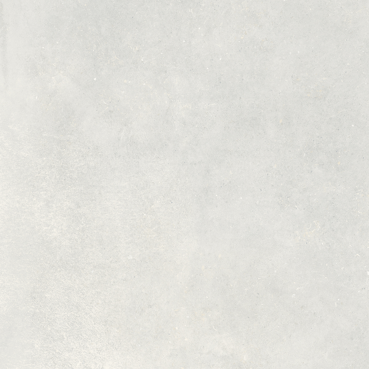 Fossil Grey 1200x1200mm Matt Porcelain Tiles