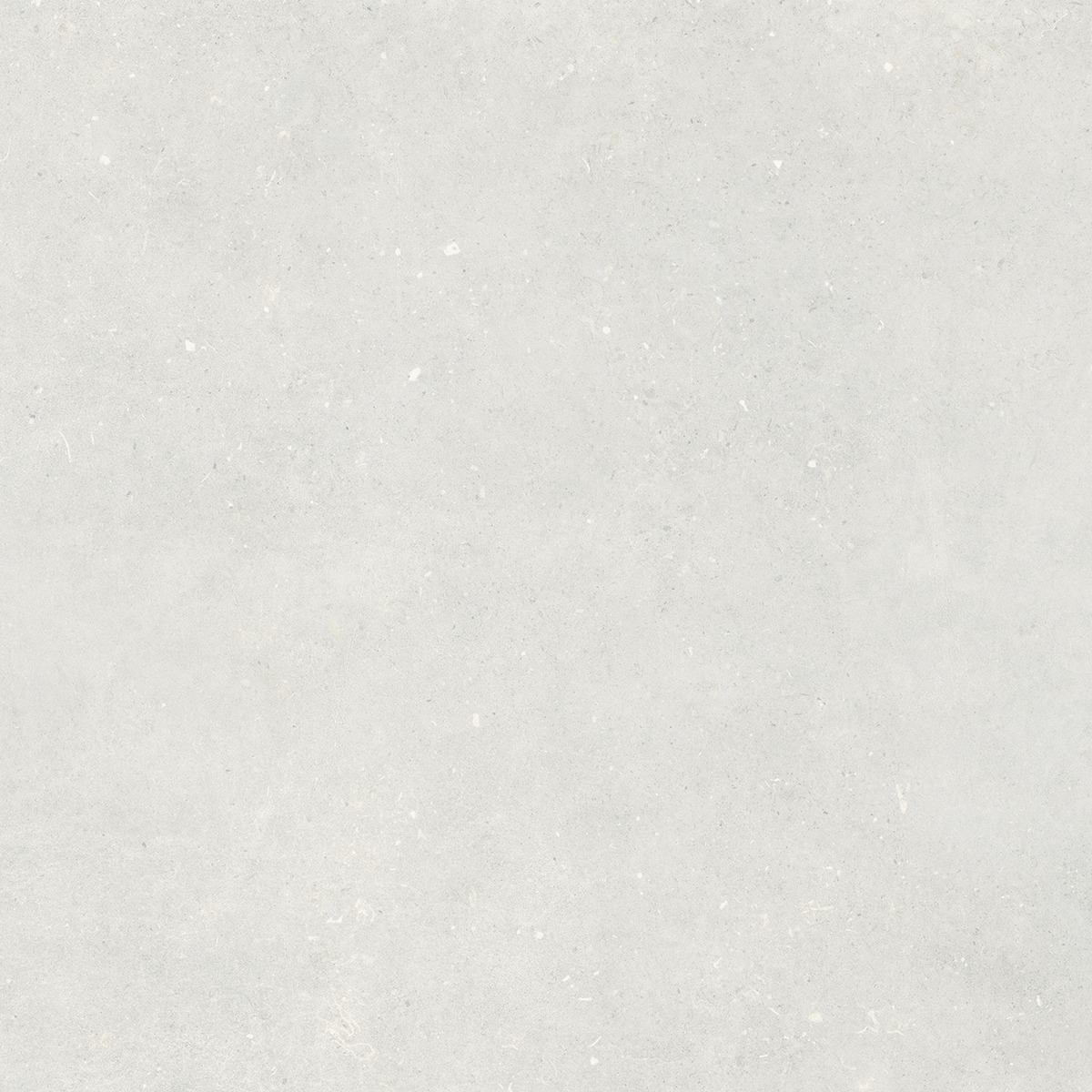 Fossil Grey 1200x1200mm Matt Porcelain Tiles