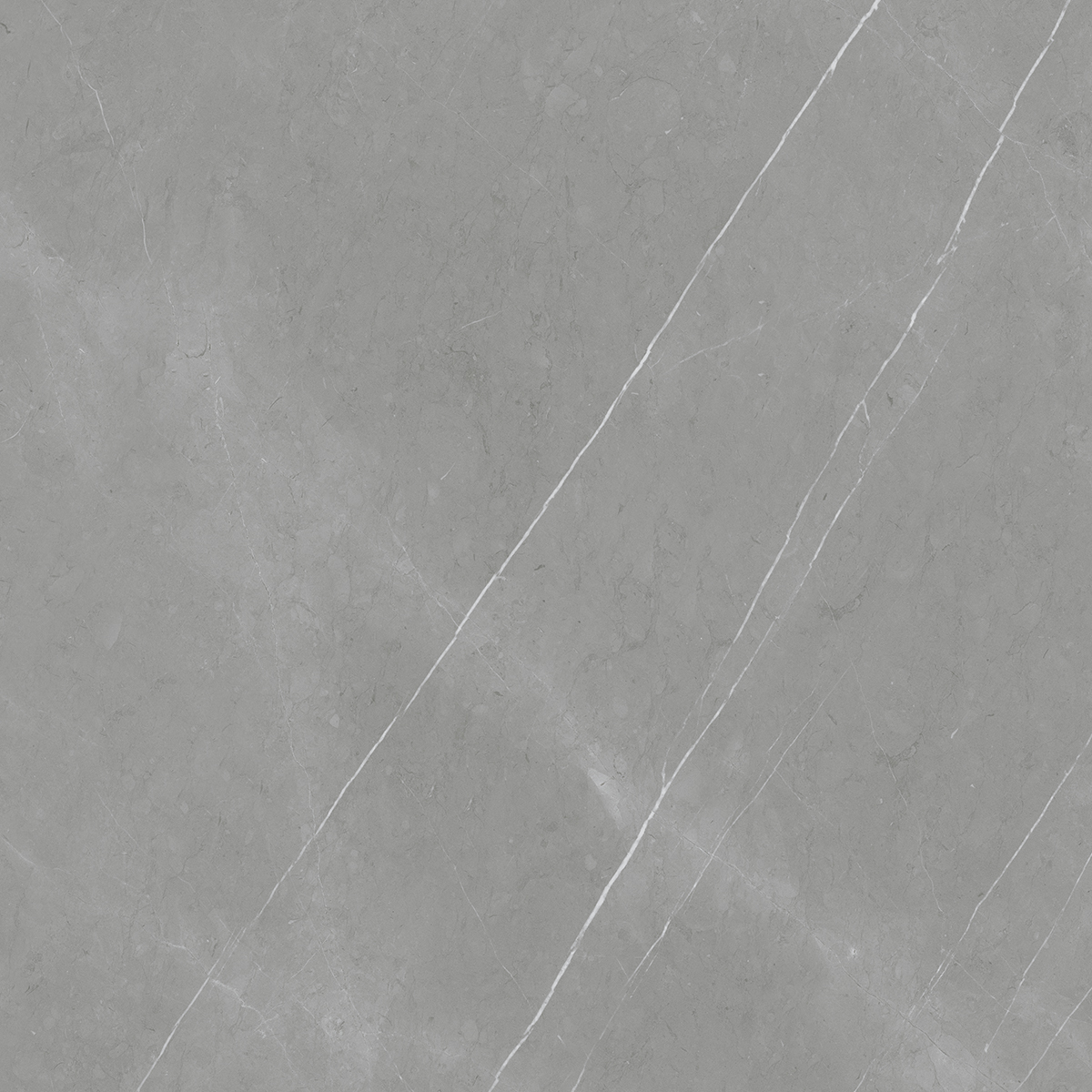 Frost Grey 1200x1200mm Matt Porcelain Tiles