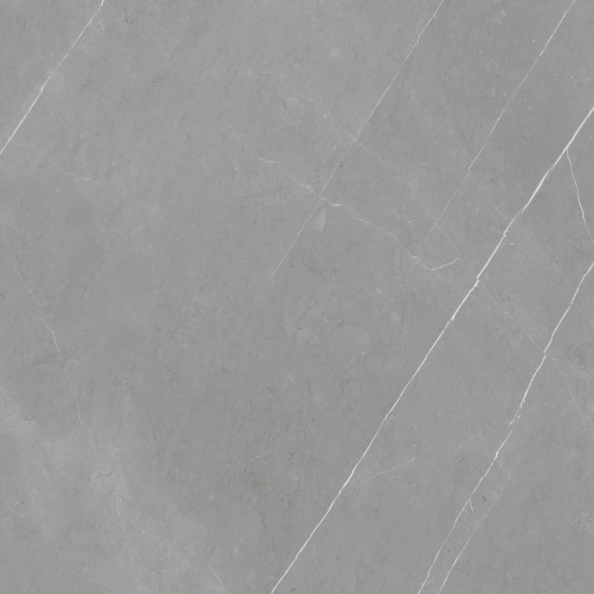 Frost Grey 1200x1200mm Matt Porcelain Tiles